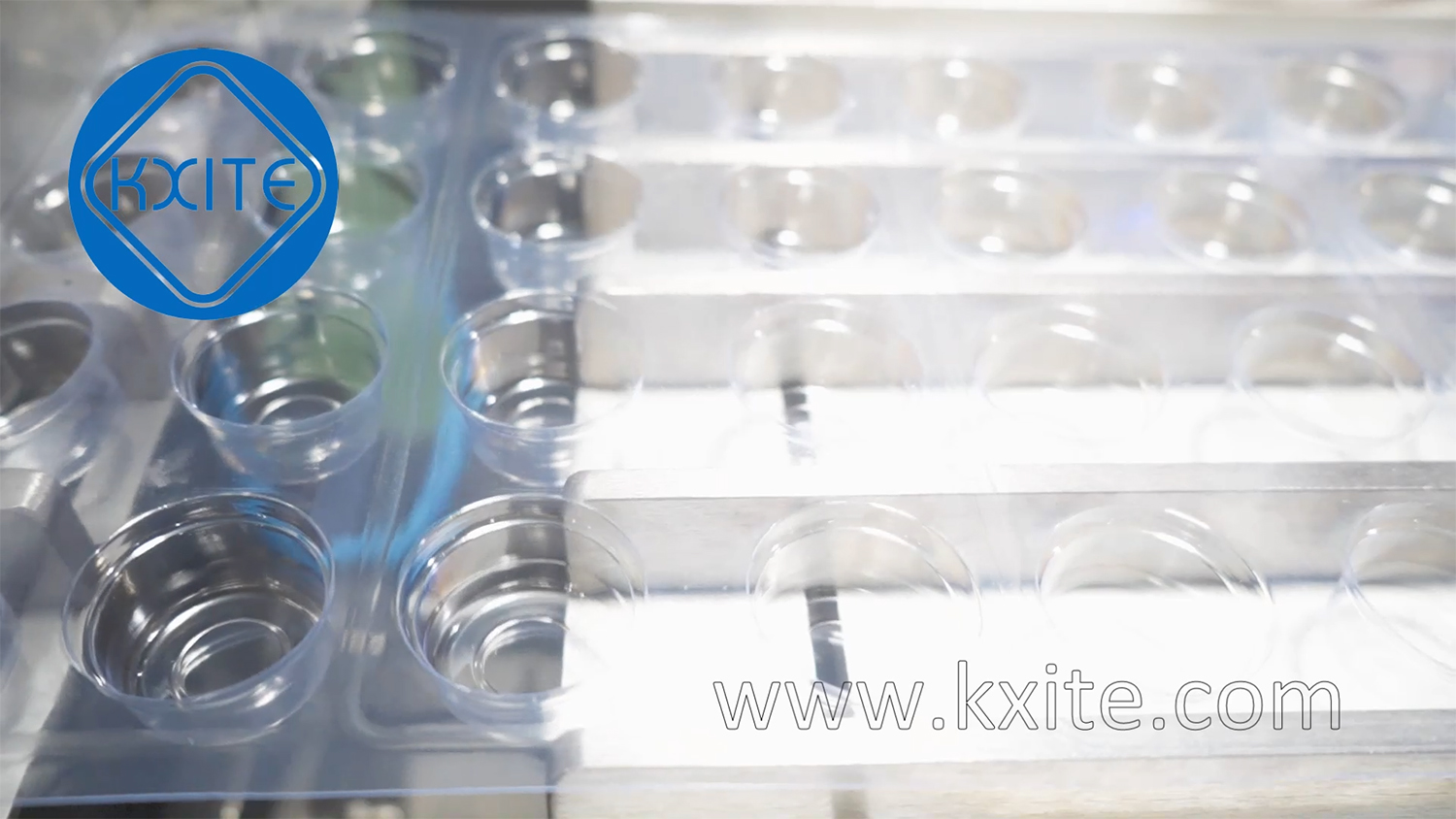 Antibacterial Mouth Wash Water Liquid Blister Filling Sealing Packing Machine