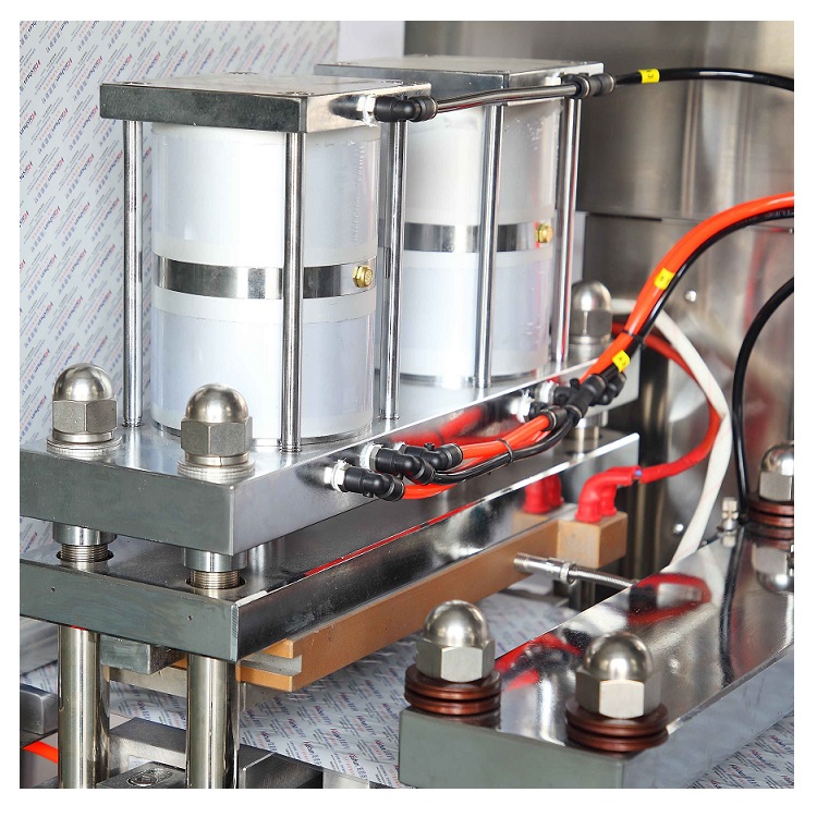 Dpp-420 Liquid Blister Packing Machine for BBQ Ketchup Mayonaise Similars Emulsions Blister Forming Filling Sealing Packaging Machine 
